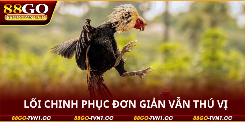 Đá gà 88GO